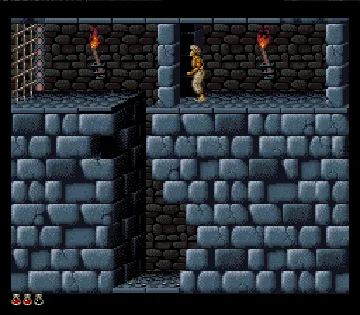 Prince of Persia (USA) screen shot game playing